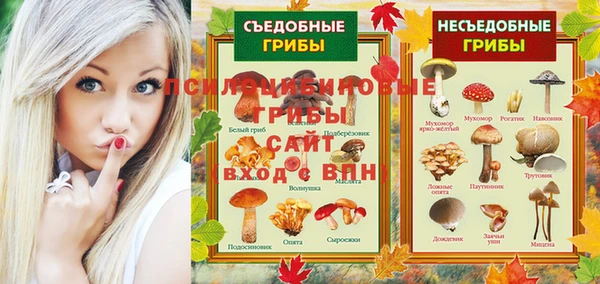 а пвп мука Ельня