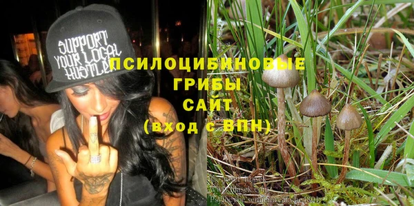 а пвп мука Ельня