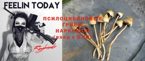 mdpv Елабуга