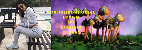 а пвп мука Ельня