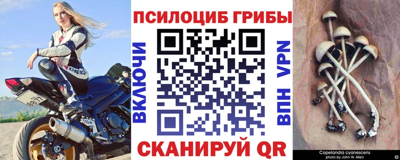 Галлюциногенные грибы мухоморы Купить Онега