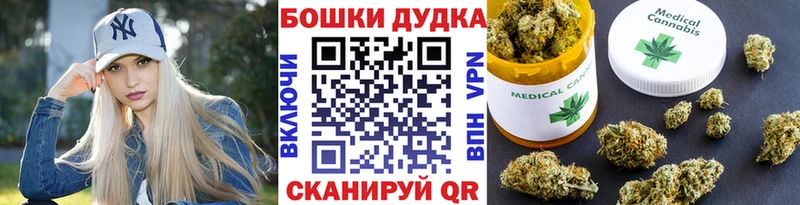 Каннабис OG Kush Купить Онега